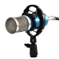 Universal Professional Condenser Microphone Mic Shock Mount Holder Studio Recording Bracket For Large Diaphram Mic Clip Black. 