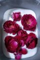 Silica gel flower drying powder 250 gram and 500 gram | Silica gel flower drying dry powder | Silica gel for drying wedding bouquet | Silica gel for drying Nuts and seeds | Drying Powder for flowers | Drying flowers powder for resin art. 