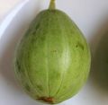 High Germination Cucumis Melo (ونگا) Wanga| Cucumber Melo Fruit Seeds For Kitchen Gardening. 
