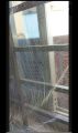 Door Anti Mosquito Net/Insect Flying Bug Mosquito Net/Best Quality Mosquito Net 2.5inc/7feet's.