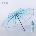 korean Transparent Umbrella Gear - Orchid Grey - "Suit Only: 44". 