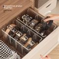 Belt Storage Box Household Compartment Organizer Tie Display Rack Transparent Desktop Storage Case for Mens Belt and Accessories. 