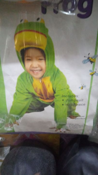 Frog costume for kids 2 and 4 year