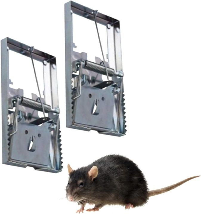 Large%20Heavy%20Duty%20Rat%20Catching%20Metal%20Traps%20%7C%20Rat%20Trap%20%7C%20Kariki%20%7C%20Mouse%20Trap%20%7C%20Heavy%20Duty%20Snap%20Mechanism%20Mouse%20Trap%20Catcher%20for%20Rodent%20Control%20-%20Quality%20Assured%20Thing%20-%20Image%206