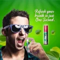Spraymintt 1 Second Instant Mouth Freshener Spray Mouth spray breath freshener 15 gm – ThandaPaan | Natural Herbal formulation for Long lasting freshness & Germ-free mouth. 
