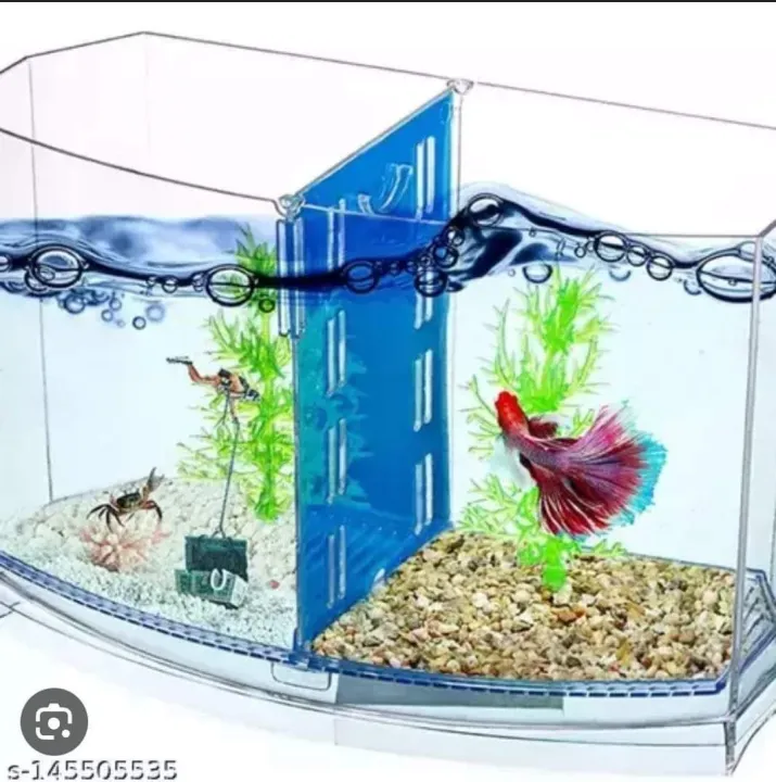 Fighter%20Fish%20Tank%20Double%20+%20Filter%20System%20-%20Image%202