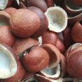 khopra giri best quality  coconut gri nariyal gri. 