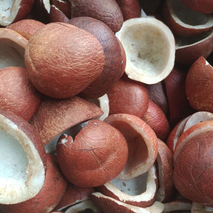 khopra%20giri%20best%20quality%20%20coconut%20gri%20nariyal%20gri%20-%20Image%202