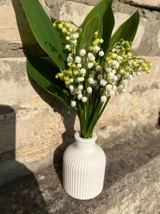 Home%20decorative%20vase%20combo%20set%20(2%20piece)%20-%20Image%204