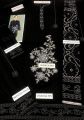 winter collection. 