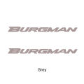 Motorcycle Glow Stickers Waterproof for Suzuki BURGMAN 400 650 125 200 AN 250 AN250 AN400 AN650 AN125 Accessories 2022 2024. 