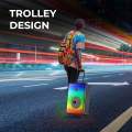 Zebronics Zeb-Thump 250 Trolley DJ Speaker. 