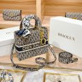 Chen Diaolun Dior Bag. 