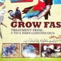 Budgie breeding formula | bujri fast growth breeding formula. 