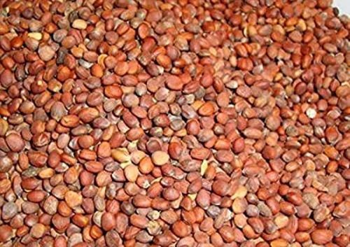 Tukhm Mooli | turb
seeds 100 grm