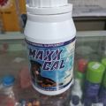 MAXX CAL DOG VITAMIN AND CALCIUM 50 TABLETS. 
