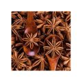 Star Anise(Badiyan k Phool)100gm(premium quality of A&AA). 