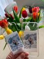 Transparent Silicone Phone Case with 8 Polaroid Pictures Shockproof Custom Design for Android and iPhone. 