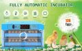 192 Eggs Full Automatic Incubator Dual Supply AC/DC. 