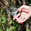 Grafting Cutting Tool Shears For Garden Ring Shape Grafting Cutter Fruit Tree Peeler Bark Stripping Cutting Stainless Steel Gard. 