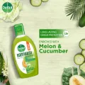 Buy 2 Dettol Body Wash Trial pack 50ml Shower Gel Lasting Fresh with Refreshing Melon & Cucumber Fragrance, 12 Hours Odour Protection.