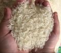 miniket boiled rice 25 kg premium quality thin Rice. 