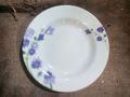 9.5 inch melamine plate (Brand: Sharif Melamine ). 