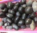 Kali Gandaki River Natural Shaligram stone for worship / lord bishnu ji stone. 