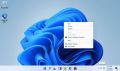 USB Bootable Microsoft Windows 11 Plug and install. 