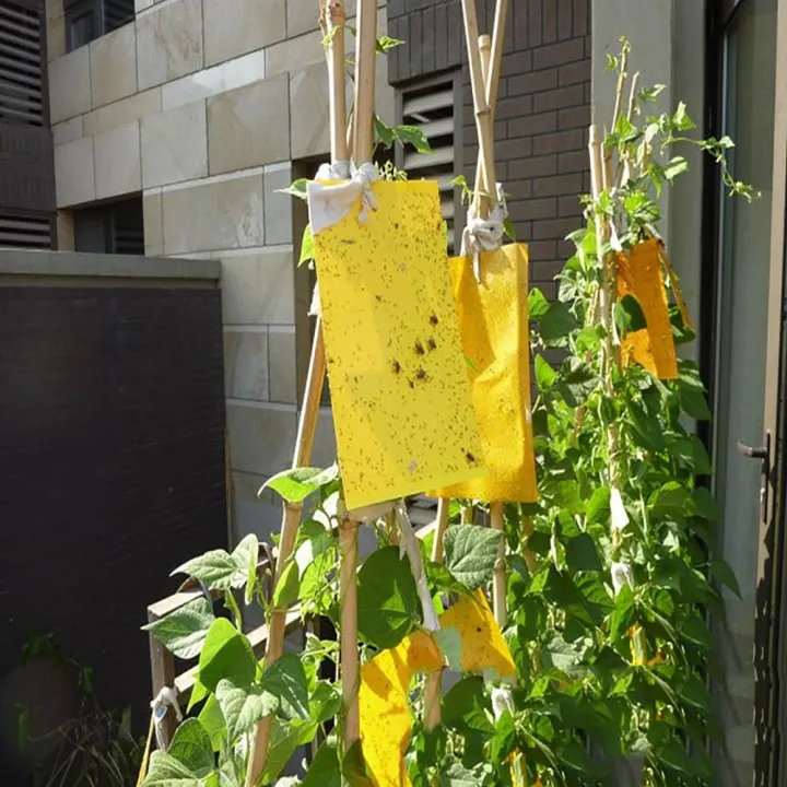 10PCS%20Strong%20Fly%20Traps%20Yellow%20Sticky%20Board%20Dual-Sided%20Catching%20Aphid%20Insects%20Pest%20Killer%20Outdoor%20Fly%20Trap%20Dropship%20-%20Image%205