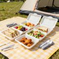 10/20PCS Disposable Lunch Boxes Plastic Salads Sandwiches Takeaway Kitchen Fridge Restaurant Picnic Food Container.