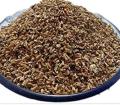 Tukhm Kasni | Chicory Seeds | Kasni | 100 gm -Organic Family Mart. 