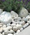 White very big Pebbles/ Stones for Garden and
Aquarium 1kg pack. 
