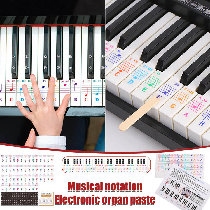 Transparent Piano Keyboard Stickers 88/61/54/49 Key Detachable Music