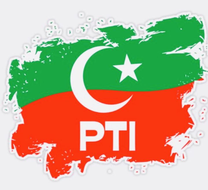 PTI flag universl 12*12