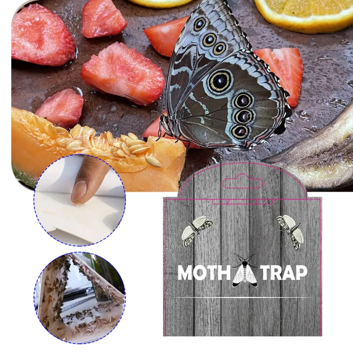 5Pcs%20Moth%20Pheromone%20Traps%20with%20Pheromones%20Prime%20Adhesive%20Pantry%20Moth%20Traps%20Clothing%20Moth%20Pheromone%20Traps%20for%20Food%20and%20Cupboard%20-%20Image%202