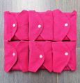 Reusable Cloth Sanitary Pads – 6 Pcs Combo with Storage Bag - Huge Discount.