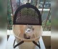 Cat Carrying Basket. 
