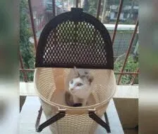 Cat%20Carrying%20Basket%20-%20Image%202