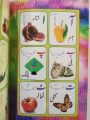 Pack of 13 books-  read, write & wipe set-(8 books for read write and wipe +5 reading books + 1 Markers and ink. 