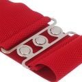 Women Casual Stretch Ladies Metal Buckle Waistband Dress Cummerbands Waist Band Wide Elastic Belt Fashion Accessory. 