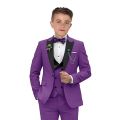 Elegant Burgundy Boy's Suit Set for Wedding, 3 Pieces Suit Set Elagent Tuxedo Sets Blazer Vest Pants Kids Photo Shot Oufit.