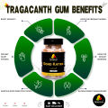 Premium Gond Katira 190g - Pure Tragacanth Gum for Cooling Drinks - Natural Edible Gum - High Grade Gondh. 