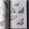 Adult Coloring Book 94 Pages Hundred Butterflies Chinese Line Drawing Collection Stress Relief And Relaxation Art Painting Book. 