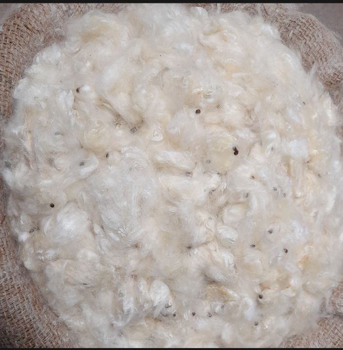 shimul tula 1 kg | Daraz.com.bd