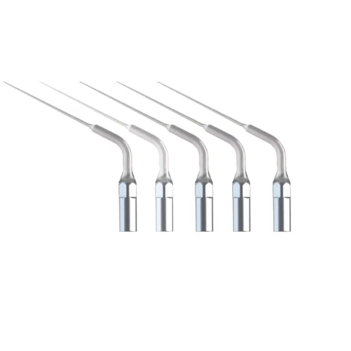 1PC%20Dental%20Ultrasonic%20Scaler%20Tips%20Dental%20Endodontic%20Endo%20Tip%20Fit%20EMS%20WOODPECKER%20Scaler%20Teeth%20%20Tools%20E1%20E2%20E3%20E4%20E5%20-%20Image%206