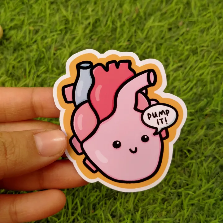 Science Sticker Set (8 PCs) | Daraz.pk