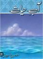 Aab E Hayat Nimra Ahmed. 