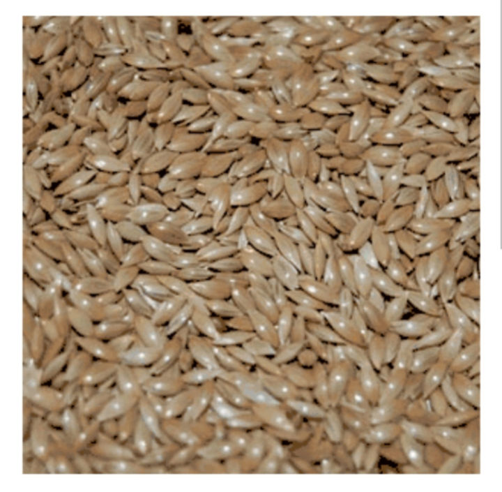 Canary%20%7C%20Canary%20seeds%20%7C%20Bird%20food%20%7C%20%20500%20grams%20seeds%20-%20Image%203