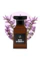 Into Eternity - Most Awarded Men's Fragrance (Spray Perfume 50ml). 